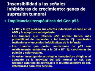 Insensibilidad a las señales  inhibidoras de crecimiento: genes de supresión tumoral Implicancias terapéuticas del Gen p53 La RT y la QT median sus efectos induciendo el daño en el ADN y la apoptosis subsiguiente. Los tumores que retienen p53 normal tienen más probabilidad de responder a tal terapia. Ej: neoplasias testiculares y leucemias linfoblásticas de la infancia. Los tumores que portan mutaciones de p53 son relativamente resistentes a la QT y RT. Ej: carcinomas de pulmón y colorrectales. Se están investigando estrategias terapéuticas dirigidas al aumento de la actividad del p53 normal en cel. que retienen este tipo de actividad o la muerte selectiva de cel. defectuosas para esta función. Cát. de Anatomía Patológica - Fac. de Medicina - U.N.T. 