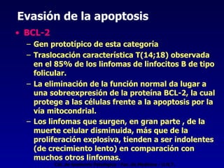 Evasión de la apoptosis BCL-2 Gen prototípico de esta categoría Traslocación característica T(14;18) observada en el 85% de los linfomas de linfocitos B de tipo folicular. La eliminación de la función normal da lugar a una sobreexpresión de la proteína BCL-2, la cual protege a las células frente a la apoptosis por la vía mitocondrial. Los linfomas que surgen, en gran parte , de la muerte celular disminuida, más que de la proliferación explosiva, tienden a ser indolentes (de crecimiento lento) en comparación con muchos otros linfomas . Cát. de Anatomía Patológica - Fac. de Medicina - U.N.T. 