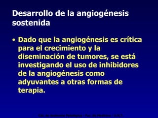 Desarrollo de la angiogénesis sostenida   Dado que la angiogénesis es crítica para el crecimiento y la diseminación de tumores, se está investigando el uso de inhibidores de la angiogénesis como adyuvantes a otras formas de terapia. Cát. de Anatomía Patológica - Fac. de Medicina - U.N.T. 