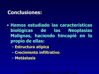 Conclusiones: Hemos estudiado las características biológicas de las Neoplasias Malignas, haciendo hincapié en lo propio de ellas: Estructura atípica Crecimiento infiltrativo Metástasis Cát. de Anatomía Patológica - Fac. de Medicina - U.N.T. 