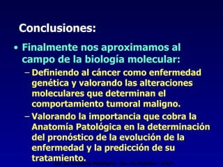 Conclusiones: Finalmente nos aproximamos al campo de la biología molecular: Definiendo al cáncer como enfermedad genética y valorando las alteraciones moleculares que determinan el comportamiento tumoral maligno.  Valorando la importancia que cobra la Anatomía Patológica en la determinación del pronóstico de la evolución de la enfermedad y la predicción de su tratamiento.  Cát. de Anatomía Patológica - Fac. de Medicina - U.N.T. 