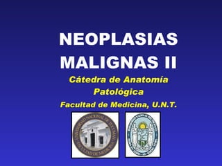 NEOPLASIAS MALIGNAS II Cátedra de Anatomía Patológica Facultad de Medicina, U.N.T. 