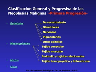 Clasificación General y Progresiva de las Neoplasias Malignas  -Primera Progresión- Epiteliales Mesenquimales Mixtos Otros De revestimiento Glandulares Nerviosos Pigmentarios Otros epitelios Tejido conectivo Tejido muscular Endotelio y tejidos relacionados Tejido hemopoyético y linforeticular Cát. de Anatomía Patológica - Fac. de Medicina - U.N.T. 