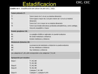 EstadificacionEstadificacion CBC, CEC
 