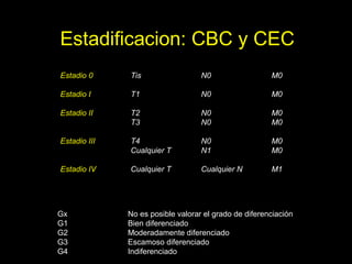 Estadificacion: CBC y CECEstadificacion: CBC y CEC
Estadio 0 Tis N0 M0
Estadio I T1 N0 M0
Estadio II T2 N0 M0
T3 N0 M0
Estadio III T4 N0 M0
Cualquier T N1 M0
Estadio IV Cualquier T Cualquier N M1
Gx No es posible valorar el grado de diferenciación
G1 Bien diferenciado
G2 Moderadamente diferenciado
G3 Escamoso diferenciado
G4 Indiferenciado
 