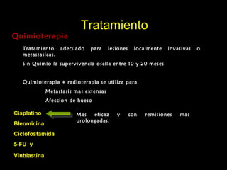 TratamientoTratamiento
QuimioterapiaQuimioterapia
Tratamiento adecuado para lesiones localmente invasivas o
metastasicas.
Sin Quimio la supervivencia oscila entre 10 y 20 meses
Quimioterapia + radioterapia se utiliza para
Metastasis mas extensas
Afeccion de hueso
Cisplatino
Bleomicina
Ciclofosfamida
5-FU y
Vinblastina
Mas eficaz y con remisiones mas
prolongadas.
 