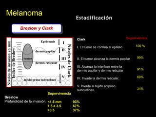 MelanomaMelanoma
EstadificaciónEstadificación
Breslow y ClarkBreslow y Clark
Clark
I. El tumor se confina al epitelio
II. El tumor alcanza la dermis papilar
III. Alcanza la interfase entre la
dermis papilar y dermis reticular
IV. Invade la dermis reticular.
V. Invade el tejido adiposo
subcutáneo.
Superiviencia
100 %
99%
91%
69%
34%
Breslow
Profundidad de la invasión.
Supervivencia
<1.5 mm 93%
1.5 a 3.5 67%
>3.5 37%
 
