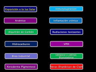 Exposición a la luz SolarExposición a la luz SolarExposición a la luz SolarExposición a la luz Solar
ArsénicoArsénicoArsénicoArsénico
Alquitrán de CarbónAlquitrán de CarbónAlquitrán de CarbónAlquitrán de Carbón
HidrocarburosHidrocarburosHidrocarburosHidrocarburos
Brea industrialBrea industrialBrea industrialBrea industrial
InmunosupresionInmunosupresionInmunosupresionInmunosupresion
Inflamación crónicaInflamación crónicaInflamación crónicaInflamación crónica
Radiaciones IonizantesRadiaciones IonizantesRadiaciones IonizantesRadiaciones Ionizantes
VPHVPHVPHVPH
Lámparas y cabinasLámparas y cabinas
BronceadorasBronceadoras
Lámparas y cabinasLámparas y cabinas
BronceadorasBronceadoras
Xeroderma PigmentosoXeroderma PigmentosoXeroderma PigmentosoXeroderma Pigmentoso Nevos Displásicos de ClarkNevos Displásicos de ClarkNevos Displásicos de ClarkNevos Displásicos de Clark
 