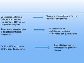 Su localización laringo-      Semeja al epitelio basal activo de
faringea son muy rara,        las criptas amigdalinas
representa el 0.2% de las
neoplasias malignas

Tiene una gran propensión        El tratamiento es
a metástasis linfáticas          radioterapia, pudiendo
tempranas                        combinarse con quimioterapia




                                      Da metástasis por vía
En 75 a 80% se obtiene
                                      hematogena a pulmón y
control local de este tumor
                                      huesos
 