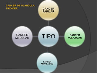 USO PROLONGADO DE ANTICONCEPTIVOS ORALES