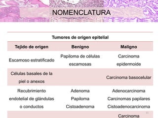 NOMENCLATURA
Tumores de origen epitelial
Tejido de origen Benigno Maligno
Escamoso estratificado
Papiloma de células
escamosas
Carcinoma
epidermoide
Células basales de la
piel o anexos
Carcinoma basocelular
Recubrimiento
endotelial de glándulas
o conductos
Adenoma
Papiloma
Cistoadenoma
Adenocarcinoma
Carcinomas papilares
Cistoadenocarcinoma
Carcinoma
11
 