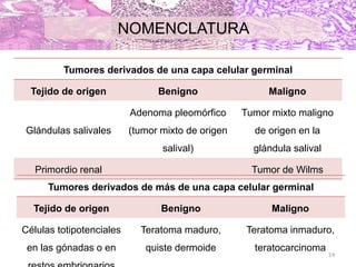 NOMENCLATURA
Tumores derivados de una capa celular germinal
Tejido de origen Benigno Maligno
Glándulas salivales
Adenoma pleomórfico
(tumor mixto de origen
salival)
Tumor mixto maligno
de origen en la
glándula salival
Primordio renal Tumor de Wilms
Tumores derivados de más de una capa celular germinal
Tejido de origen Benigno Maligno
Células totipotenciales
en las gónadas o en
Teratoma maduro,
quiste dermoide
Teratoma inmaduro,
teratocarcinoma
14
 