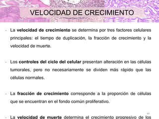 VELOCIDAD DE CRECIMIENTO
44
 La velocidad de crecimiento se determina por tres factores celulares
principales: el tiempo de duplicación, la fracción de crecimiento y la
velocidad de muerte.
 Los controles del ciclo del celular presentan alteración en las células
tumorales, pero no necesariamente se dividen más rápido que las
células normales.
 La fracción de crecimiento corresponde a la proporción de células
que se encuentran en el fondo común proliferativo.
 La velocidad de muerte determina el crecimiento progresivo de los
 