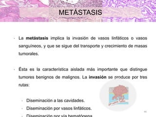 METÁSTASIS
46
 La metástasis implica la invasión de vasos linfáticos o vasos
sanguíneos, y que se sigue del transporte y crecimiento de masas
tumorales.
 Ésta es la característica aislada más importante que distingue
tumores benignos de malignos. La invasión se produce por tres
rutas:
 Diseminación a las cavidades.
 Diseminación por vasos linfáticos.
 