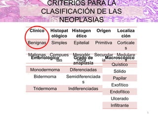 CRITERIOS PARA LA
CLASIFICACIÓN DE LAS
NEOPLASIAS
Embriológico Grado de
anaplasia
Monodermoma Diferenciadas
Bidermoma Semidiferenciada
s
Tridermoma Indiferenciadas
Clínico Histopat
ológico
Histogen
ético
Origen Localiza
ción
Benignas Simples Epitelial Primitiva Corticale
s
Malignas Compues
tas
Mesodér
mica
Secundar
ia
Medulare
s
Macroscópico
Quístico
Sólido
Papilar
Exofítico
Endofítico
Ulcerado
Infiltrante
5
 