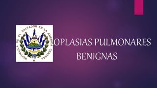 NEOPLASIAS PULMONARES
BENIGNAS
 