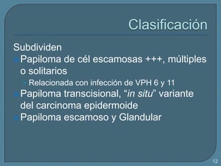 Subdividen
 Papiloma de cél escamosas +++, múltiples
o solitarios
• Relacionada con infección de VPH 6 y 11

transcisional, “in situ” variante
del carcinoma epidermoide
 Papiloma escamoso y Glandular
 Papiloma

12

 