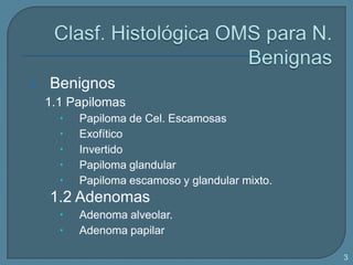 1.

Benignos
1.1 Papilomas






Papiloma de Cel. Escamosas
Exofítico
Invertido
Papiloma glandular
Papiloma escamoso y glandular mixto.

1.2 Adenomas



Adenoma alveolar.
Adenoma papilar
3

 