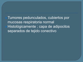  Tumores

pedunculados, cubiertos por
mucosas respiratoria normal
 Histológicamente ; capa de adipocitos
separados de tejido conectivo

 