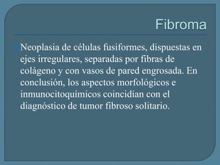  Neoplasia

de células fusiformes, dispuestas en
ejes irregulares, separadas por fibras de
colágeno y con vasos de pared engrosada. En
conclusión, los aspectos morfológicos e
inmunocitoquímicos coincidían con el
diagnóstico de tumor fibroso solitario.

 