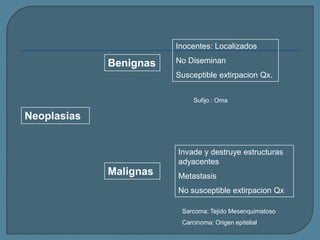 Inocentes: Localizados

Benignas

No Diseminan
Susceptible extirpacion Qx.
Sufijo : Oma

Neoplasias

Invade y destruye estructuras
adyacentes

Malignas

Metastasis
No susceptible extirpacion Qx
Sarcoma: Tejido Mesenquimatoso
Carcinoma: Origen epitelial

 