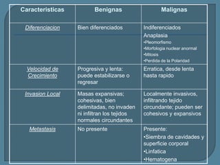 Caracteristicas
Diferenciacion

Benignas
Bien diferenciados

Malignas
Indiferenciados
Anaplasia
•Pleomorfismo
•Morfologia nuclear anormal
•Mitosis
•Perdida de la Polaridad

Velocidad de
Crecimiento
Invasion Local

Metastasis

Progresiva y lenta:
puede estabilizarse o
regresar

Erratica, desde lenta
hasta rapido

Masas expansivas;
cohesivas, bien
delimitadas, no invaden
ni infiltran los tejidos
normales circundantes

Localmente invasivos,
infiltrando tejido
circundante; pueden ser
cohesivos y expansivos

No presente

Presente:
•Siembra de cavidades y
superficie corporal
•Linfatica
•Hematogena

 