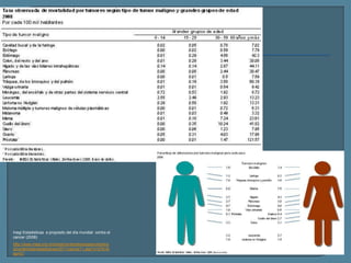 Inegi Estadisticas a proposito del día mundial contra el
cancer (2008)
http://www.inegi.org.mx/inegi/contenidos/espanol/prens
a/contenidos/estadisticas/2011/cancer11.asp?c=2781&
ep=51

 