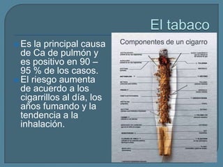  Es

la principal causa
de Ca de pulmón y
es positivo en 90 –
95 % de los casos.
 El riesgo aumenta
de acuerdo a los
cigarrillos al día, los
años fumando y la
tendencia a la
inhalación.

 