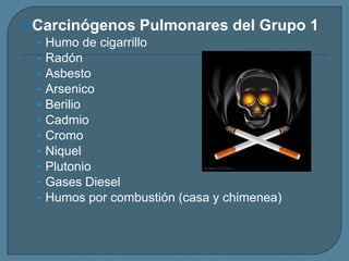  Carcinógenos Pulmonares del Grupo
• Humo de cigarrillo
• Radón
• Asbesto
• Arsenico
• Berilio
• Cadmio
• Cromo
• Niquel
• Plutonio
• Gases Diesel
• Humos por combustión (casa y chimenea)

1

 