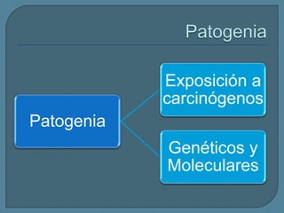 Exposición a
carcinógenos
Patogenia
Genéticos y
Moleculares

 