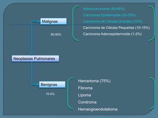 Adenocarcinoma (40-45%)
Carcinoma Epidermoide (30-35%)

Malignas

Carcinoma de Células Grandes (10%)
Carcinoma de Células Pequeñas (10-15%)

90-95%

Carcinoma Adenoepidermoide (1-2%)

Neoplasias Pulmonares

Hamartoma (75%)
Benignas
10-5%

Fibroma
Lipoma
Condroma
Hemangioendotelioma

 
