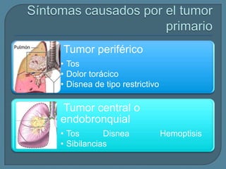 Tumor periférico
• Tos
• Dolor torácico
• Disnea de tipo restrictivo

Tumor central o
endobronquial
• Tos
Disnea
• Sibilancias

Hemoptisis

 