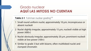 Grado nuclear
AQUÍ LAS MITOSIS NO CUENTAN
 