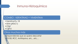Inmuno-Histoquímica
COMBO : KERATINAS + VIMENTINA
• Keratina 8 y 18
• EMA (MUC1)
• CEA
• CD10
Otros muchos más
• Dependiendo que se quiera descartar
• PS100, RCC, Antitripsina, etc…etc…
 