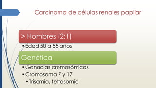 Carcinoma de células renales papilar
> Hombres (2:1)
•Edad 50 a 55 años
Genética
•Ganacias cromosómicas
•Cromosoma 7 y 17
•Trisomía, tetrasomía
 