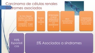 Carcinoma de células renales
Síndromes asociados
95%
Esporádi
cos
5% Asociados a síndromes
Sx Von Hippel
Lindau (Ch 3p25)
(Hemangioblasto
ma
cerebelar, Angio
ma Retina, CCC)
Esclero
sis
tuberos
a
Enfermeda
d renal
poliquistica
AUTOSÓMI
CA
DOMINANT
E
RCC
Autosómico
dominante
Carcinoma
renal Papilar
autosómico
dominante
 