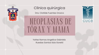 Neoplasias de
tórax y mama
Clínica quirúrgica
Yañez Ramos Angelica Gabriela
Ruedas Santos Itzia Goretti
Dra. Clotilde Fuentes Orozco
 