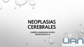 NEOPLASIAS
CEREBRALES
GABRIELA BARRAGAN RUEDA
NEUROCIENCIA III
 