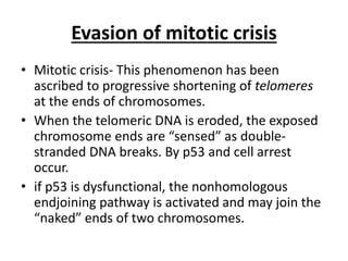 Evasion of mitotic crisis
• Mitotic crisis- This phenomenon has been
ascribed to progressive shortening of telomeres
at the ends of chromosomes.
• When the telomeric DNA is eroded, the exposed
chromosome ends are “sensed” as double-
stranded DNA breaks. By p53 and cell arrest
occur.
• if p53 is dysfunctional, the nonhomologous
endjoining pathway is activated and may join the
“naked” ends of two chromosomes.
 