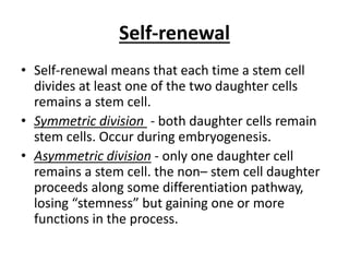 Self-renewal
• Self-renewal means that each time a stem cell
divides at least one of the two daughter cells
remains a stem cell.
• Symmetric division - both daughter cells remain
stem cells. Occur during embryogenesis.
• Asymmetric division - only one daughter cell
remains a stem cell. the non– stem cell daughter
proceeds along some differentiation pathway,
losing “stemness” but gaining one or more
functions in the process.
 
