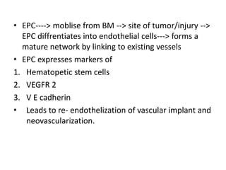 • EPC----> moblise from BM --> site of tumor/injury -->
EPC diffrentiates into endothelial cells---> forms a
mature network by linking to existing vessels
• EPC expresses markers of
1. Hematopetic stem cells
2. VEGFR 2
3. V E cadherin
• Leads to re- endothelization of vascular implant and
neovascularization.
 