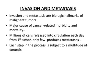 INVASION AND METASTASIS
• Invasion and metastasis are biologic hallmarks of
malignant tumors.
• Major cause of cancer-related morbidity and
mortality..
• Millions of cells released into circulation each day
from 10 tumor, only few produces metastases .
• Each step in the process is subject to a multitude of
controls.
 