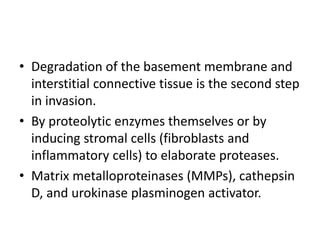 • Degradation of the basement membrane and
interstitial connective tissue is the second step
in invasion.
• By proteolytic enzymes themselves or by
inducing stromal cells (fibroblasts and
inflammatory cells) to elaborate proteases.
• Matrix metalloproteinases (MMPs), cathepsin
D, and urokinase plasminogen activator.
 