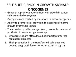 SELF-SUFFICIENCY IN GROWTH SIGNALS:
ONCOGENES
• Genes that promote autonomous cell growth in cancer
cells are called oncogenes
• Oncogenes are created by mutations in proto-oncogenes
• Ability to promote cell growth in the absence of normal
growth-promoting signals
• Their products, called oncoproteins, resemble the normal
products of proto-oncogenes except
1. Oncoproteins are often devoid of important internal
regulatory elements
2. Their production in the transformed cells does not
depend on growth factors or other external signals
 