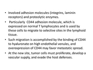 • Involved adhesion molecules (integrins, laminin
receptors) and proteolytic enzymes.
• Particularly CD44 adhesion molecule, which is
expressed on normal T lymphocytes and is used by
these cells to migrate to selective sites in the lymphoid
tissue.
• Such migration is accomplished by the binding of CD44
to hyaluronate on high endothelial venules, and
overexpression of CD44 may favor metastatic spread.
• At the new site, tumor cells must proliferate, develop a
vascular supply, and evade the host defenses.
 