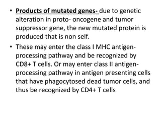 • Products of mutated genes- due to genetic
alteration in proto- oncogene and tumor
suppressor gene, the new mutated protein is
produced that is non self.
• These may enter the class I MHC antigen-
processing pathway and be recognized by
CD8+ T cells. Or may enter class II antigen-
processing pathway in antigen presenting cells
that have phagocytosed dead tumor cells, and
thus be recognized by CD4+ T cells
 