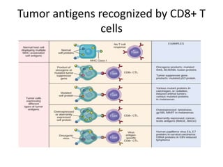 Tumor antigens recognized by CD8+ T
cells
 