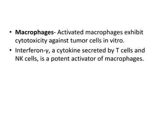 • Macrophages- Activated macrophages exhibit
cytotoxicity against tumor cells in vitro.
• Interferon-γ, a cytokine secreted by T cells and
NK cells, is a potent activator of macrophages.
 