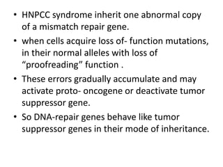 • HNPCC syndrome inherit one abnormal copy
of a mismatch repair gene.
• when cells acquire loss of- function mutations,
in their normal alleles with loss of
“proofreading” function .
• These errors gradually accumulate and may
activate proto- oncogene or deactivate tumor
suppressor gene.
• So DNA-repair genes behave like tumor
suppressor genes in their mode of inheritance.
 
