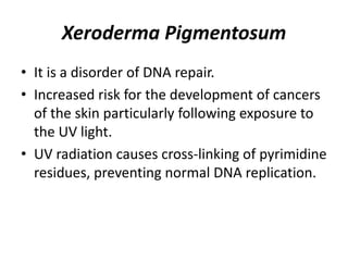 Xeroderma Pigmentosum
• It is a disorder of DNA repair.
• Increased risk for the development of cancers
of the skin particularly following exposure to
the UV light.
• UV radiation causes cross-linking of pyrimidine
residues, preventing normal DNA replication.
 